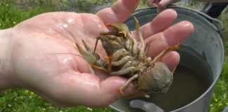 З 20 серпня на рибалок чекає чергова заборона