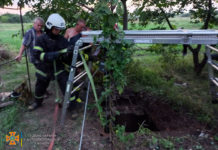 Рятувальна операція: на Павлоградщині собака впав на глибину 6 метрів