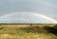 У Павлограді помітили подвійну веселку: прикмети