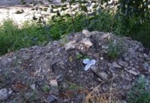 На павлоградця склали адмінпротокол за сміття біля двору