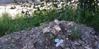 На павлоградця склали адмінпротокол за сміття біля двору