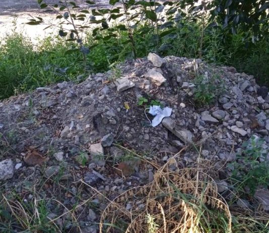 На павлоградця склали адмінпротокол за сміття біля двору