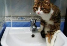 У Павлограді розповіли, коли подадуть воду