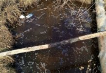 У Павлограді жінка впала у вигрібну яму