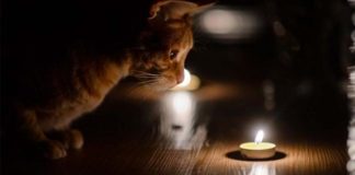 Де у Павлограді вимикатимуть світло?