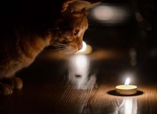 Де у Павлограді вимикатимуть світло?