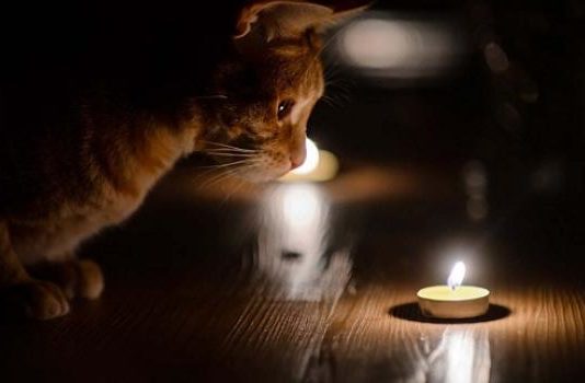 Де у Павлограді не буде світла?