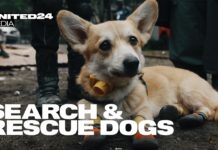 Опубліковане вражаюче англомовне відео про пошуково-рятувальних собак з Павлограда