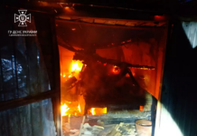 На Павлоградщині згоріло авто в гаражі