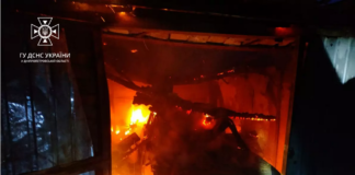 На Павлоградщині згоріло авто в гаражі