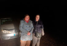 Пішли по гриби і заблукали: на Павлоградщині шукали двох жінок