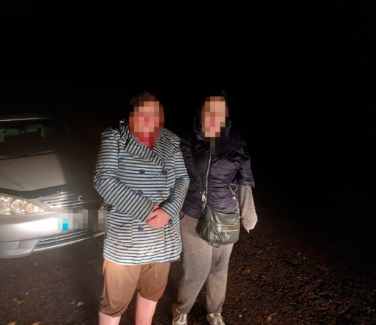 Пішли по гриби і заблукали: на Павлоградщині шукали двох жінок