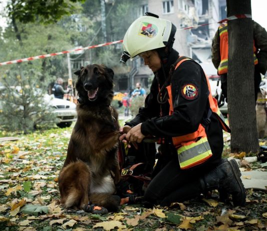 Павлоградські кінологи працювали на завалах житлових будинків в Запоріжжі (ФОТО)