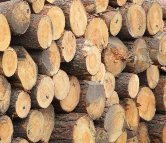 Українці, які опалюють своє житло дровами та вугіллям, отримають виплату