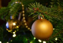 Стало відомо, скільки у Павлограді коштуватиме ялинка