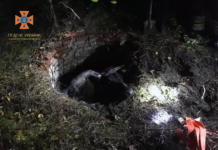 На Павлоградщині врятували корову