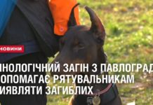 Кінологи з Павлограда допомагають повернути тіла загиблих героїв (ВІДЕО)
