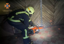 У Павлограді згорів електромобіль