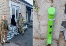 Волонтери з Павлограда та Першотравенська передали корм для тварин на Донеччині