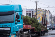 У Павлограді встановили ялинку: в цьому році особливу (ФОТО)