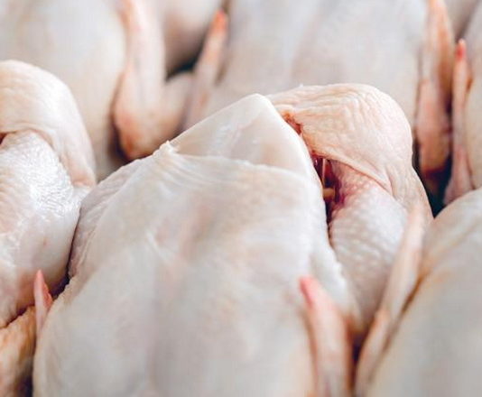 Багатодітні родини ВПО в Павлограді можуть отримати м’ясо птиці