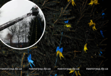 Як у Павлограді прикрашають ялинку (ФОТОФАКТ)