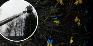 Як у Павлограді прикрашають ялинку (ФОТОФАКТ)