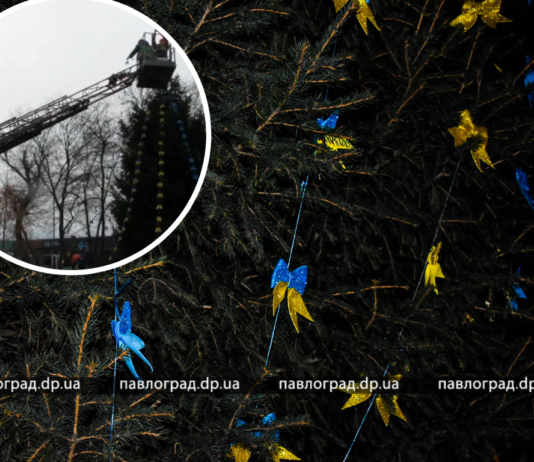 Як у Павлограді прикрашають ялинку (ФОТОФАКТ)