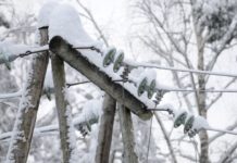 В «Укренерго» розповіли про ситуацію в енергосистемі станом на 8 грудня