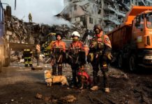 Собаки з павлоградського «Антаресу» працювали на завалах будинку в Дніпрі (ФОТО)