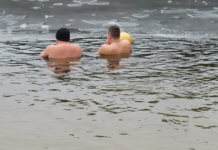 Павлоградських моржів звинуватили у тому, що вони «вигулюють піпірку»