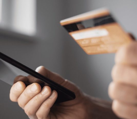 У Павлограді студентка заробляла на «схемі» з «єПідтримкою»