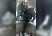 У Тернівці діти залізли в недобудований колектор: чим це закінчилося