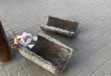 У Павлограді дві вандалки поперевертали урни (ВІДЕО)