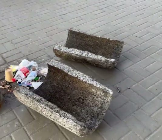 У Павлограді дві вандалки поперевертали урни (ВІДЕО)