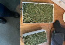 На Павлоградщині зупинили авто з коробками марихуани