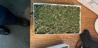 На Павлоградщині зупинили авто з коробками марихуани