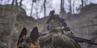 Навіть доставляє боєприпаси на позиції: талісман десантників — Рекс