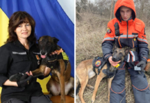 Відома павлоградська кінологиня Лариса Борисенко з напарником підірвалися на розтяжці