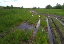 На Павлоградщині знайшли кілька безхазяйних боєприпасів