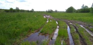 На Павлоградщині знайшли кілька безхазяйних боєприпасів