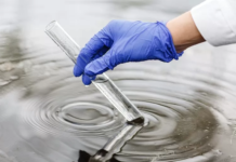 У Павлограді виявили рідкісний різновид штаму коронавірусу