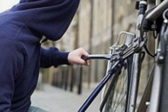 На Павлоградщині затримали серійного крадія