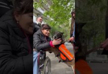 Кінологиня Лариса Борисенко вперше побувала на вулиці після реанімації (ВІДЕО)