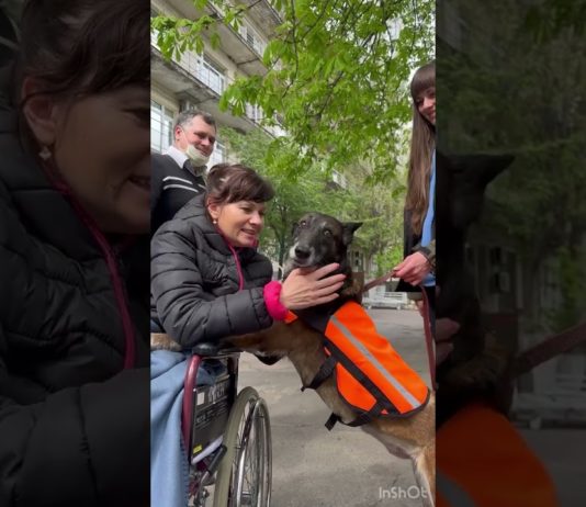 Кінологиня Лариса Борисенко вперше побувала на вулиці після реанімації (ВІДЕО)