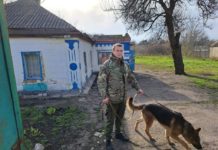 На Павлоградщині пес Бай розшукав розбійника