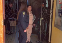 Поліцейські Павлограда затримали серійну шахрайку