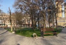 Ювенальні поліцейські Павлограда встановили, хто займався вандалізмом в центрі міста