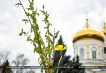 Вербна неділя: у Павлограді віряни несуть вербу до храмів (ФОТО)