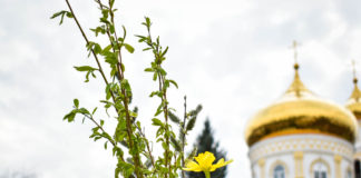 Вербна неділя: у Павлограді віряни несуть вербу до храмів (ФОТО)